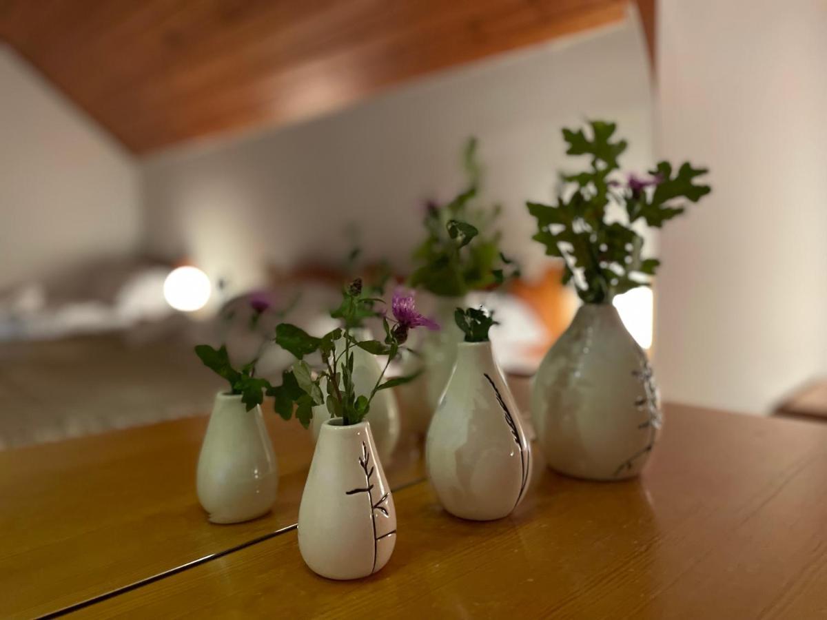Apartma As Podčetrtek Exteriér fotografie